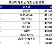 코스피 개인 순매도 1위 '현대차'