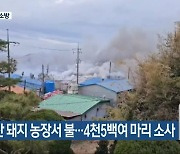 군산 돼지 농장서 불…4천5백여 마리 소사