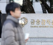 금감원, 연내 '영문 오픈 다트' 구축…"外 투자자 접근성 제고"