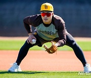 주가 치솟는 김하성…MLB닷컴 "다음 비시즌 유틸리티 최고 FA"