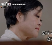 '이혼할 결심' 고민환, 또 갈등 "이혜정이 내 생각과 다르게 행동해" [TV캡처]