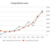 세균성장염 일으키는 ‘캄필로박터감염’증가, 항생제 내성도 주의