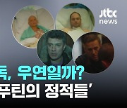 추락·음독, 우연일까?...사라진 '푸틴의 정적들'