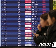 제주공항 안개·광주공항 폐쇄에 하늘길 마비…61편 결항