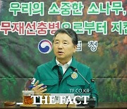 산림청, 소나무재선충병 4월 말까지 총력 방제