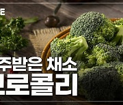 [이영완의 Scope] 브로콜리 싫어하게 된 이유는 부모 탓?