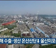 지난해 수출·생산 온산산단↓ 울산미포산단↑