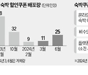 정부發 숙박쿠폰…중소 플랫폼엔 '그림의 떡'