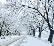 전국 흐리고 기온 ‘뚝’…강원 영동 대설 [날씨]