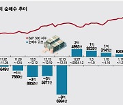 "AI 열차 놓칠라"…美주식 역대급 매수, 3~4배 올랐어도 추매[서학픽]