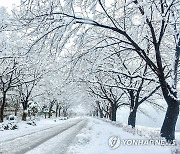 [내일날씨] 전국 흐리고 기온 5∼10도 '뚝'…강원영동 대설