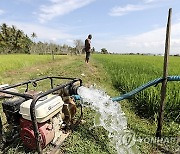 INDONESIA AGRICULTURE