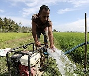 INDONESIA AGRICULTURE