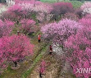 #CHINA-SOLAR TERM-RAIN WATER-AGRICULTURE (CN)