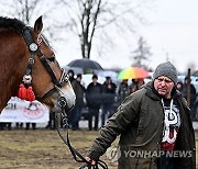 POLAND HORSE MARKET