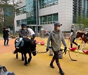 경기도, '만져보고 타보고' 동물과 함께 교감하는 어린이 말체험 추진