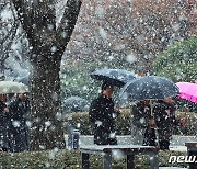 태백 대설주의보 발효