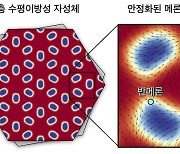 KAIST·기초연, '차세대 반도체 솔리톤' 안정화 기술 세계 첫 개발