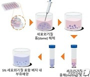 표준연, 인체에 미치는 독성 평가 '오노가이드 배양법' 세계 첫 개발