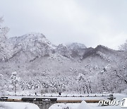 '최대 70㎝' 눈폭탄 예고…강원도, 재대본 1단계 가동