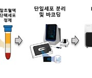 국내 연구진, 폐경기 여성 골다공증 치료 개발 새 길 열었다