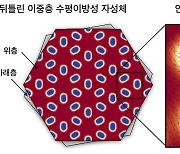 ‘초고속·초저전력’ 차세대 반도체 안정화 기술 세계 최초 개발