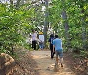 전국 투어로 성장한 맨발걷기 열풍.. 울산 황방산 50만명 다녀가