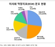 사외이사 특정 분야 쏠림 현상, ESG 비중은 포스코-영풍-카카오 순