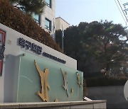 "임시 체제없이 국내파로"‥"2월 말까지 확정"