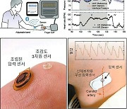 [라이프 트렌드&] 실시간 심혈관 정보 측정하는 3차원 고감도 전자피부용 압력센서 개발