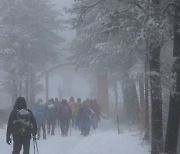 동해안 2014년 폭설 악몽 재현?…전국 곳곳 많은 눈·비 온다