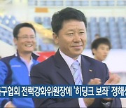 축구협회 전력강화위원장에 ‘히딩크 보좌’ 정해성