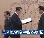 저출산고령위 부위원장 부총리급으로 격상