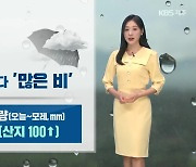 [날씨] 제주 내일부터 많은 비, 강한 바람…산지 최대 100mm↑