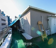 다세대·연립주택 세입자 10가구 중 3가구, 불법건축물에 살고있다