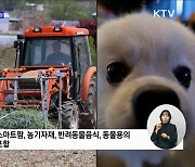 'K-FOOD+', 10대 수출전략산업 육성···3대 신시장 개척