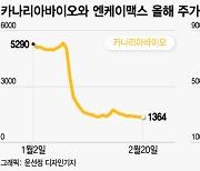 카나리아·엔케이맥스, 동반 급락…바이오 신뢰 또 타격받나