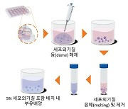 나노물질 인체 독성, '인공장기' 오가노이드로 검증한다