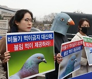 '비둘기 먹이 금지 대신에 불임 먹이 제공하라'