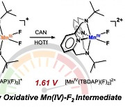 산화 능력이 뛰어난 새로운 금속-플루오린 촉매 개발 성공