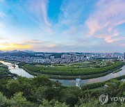 "울산 태화강 철새 가까이서 보세요"…습지 생태 관찰장 운영