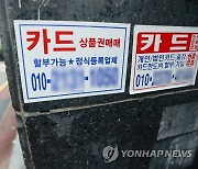 카드론 잔액 한달간 4천500억원 늘어…또 역대 최다