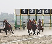 MYANMAR HORSE RACING