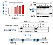 "흡연⋅음주가 구강암 유발하는 원인" KAIST 연구팀 규명