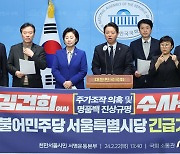 민주당 서울시장, '김건희 여사 주가조작 의혹 및 명품백 진상규명 수사 촉구'