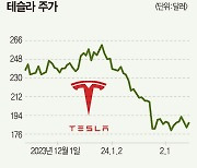 테슬라 경고음 들려도…서학개미 러브콜?