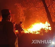 CHINA-GUIZHOU-FOREST FIRES (CN)