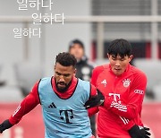 "일하다 일하다 일하다"...케인 백업, 김민재와 훈련하며 한국어로 SNS에 올려