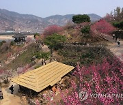 광양매화축제, 맨발 봄길 걷기 이벤트