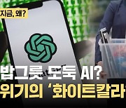 밥그릇 도둑 AI?…'화이트 칼라' 노린다